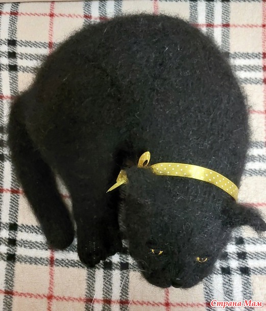 Чёрные котики