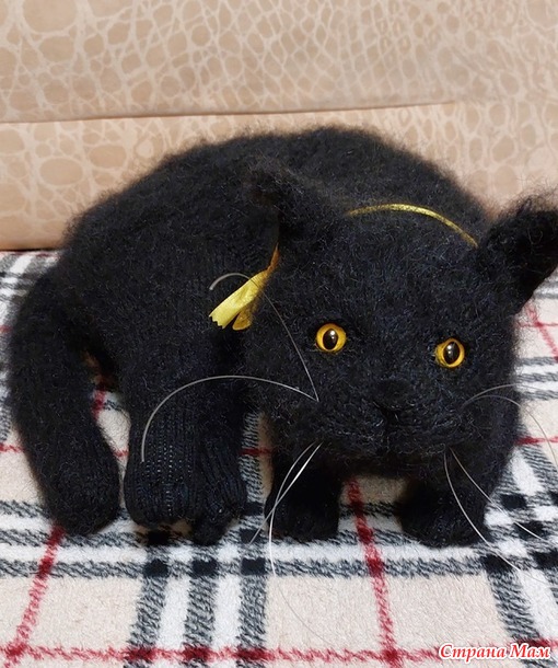 Чёрные котики