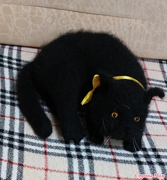 Чёрные котики