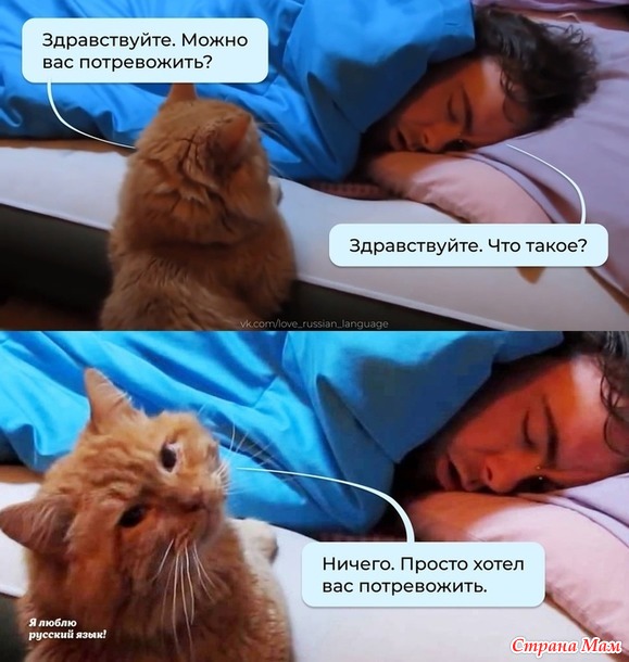   ?))