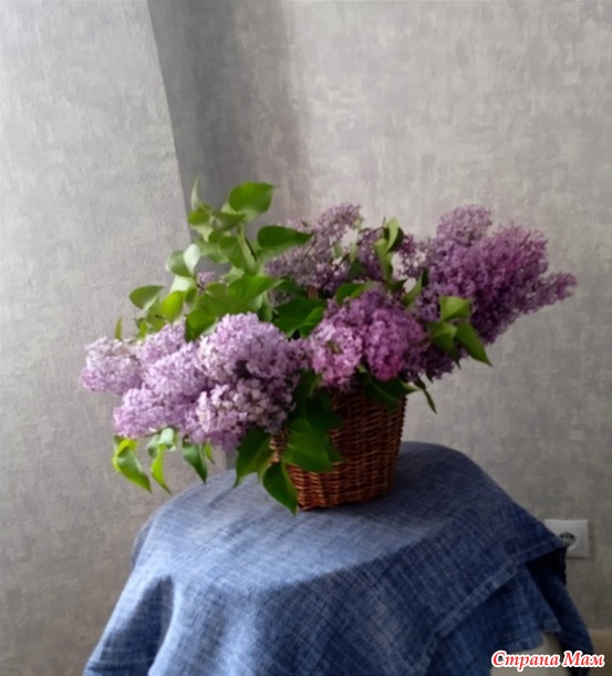 Корзина цветов