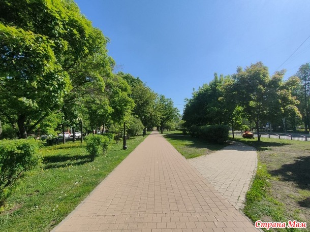 Зеленый проспект