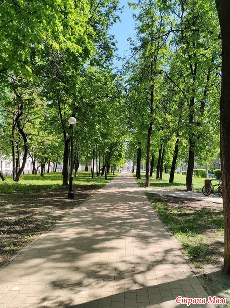 Зеленый проспект