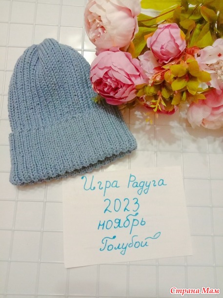 Радуга2023. Ноябрь. Шапочка.