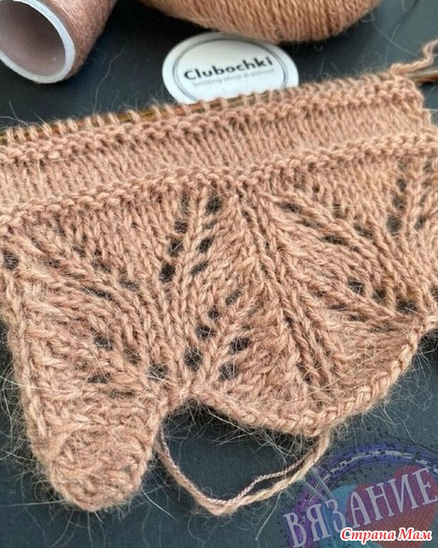 �������� ����