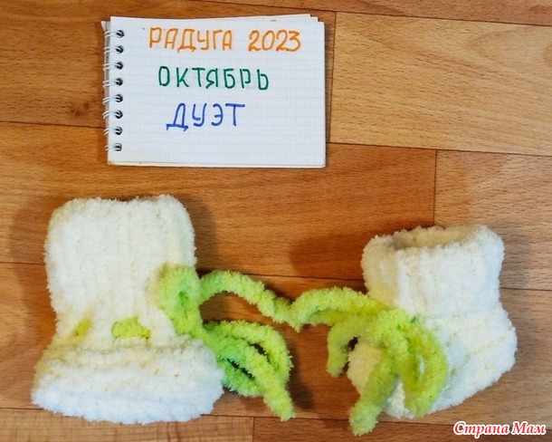 Радуга 2023, Октябрь, Дуэт. Отчет 1