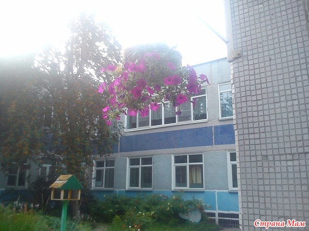 Посиделки на лавочке. Август.