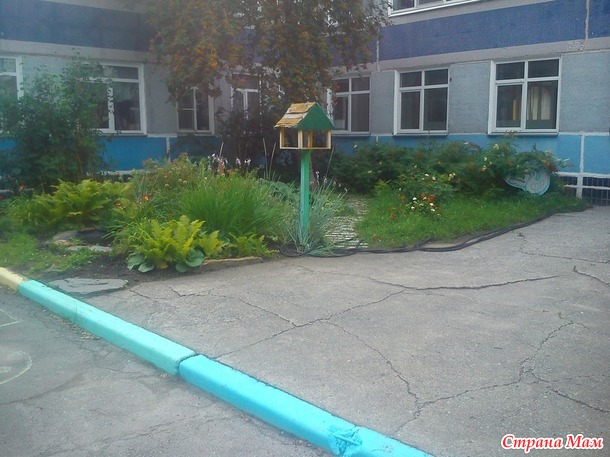 Посиделки на лавочке. Август.