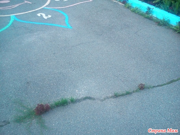 Посиделки на лавочке. Август.