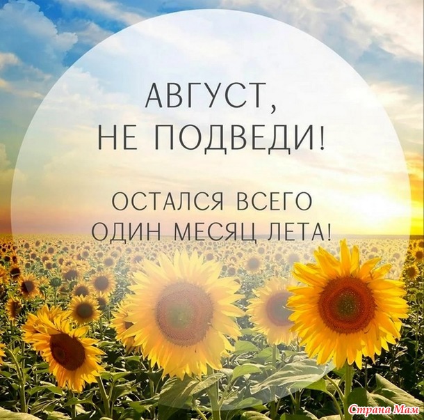 Посиделки на лавочке. Август.