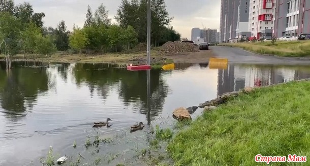 Посиделки на лавочке. Август.