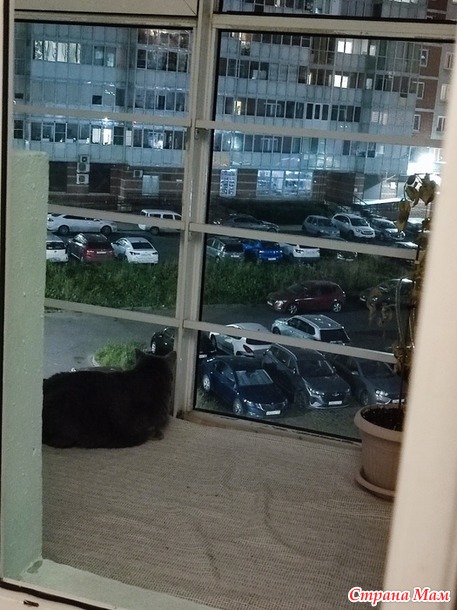 15 августа