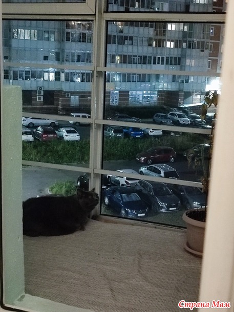 15 августа
