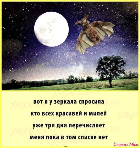 Летучая мышь-талисман удачи.