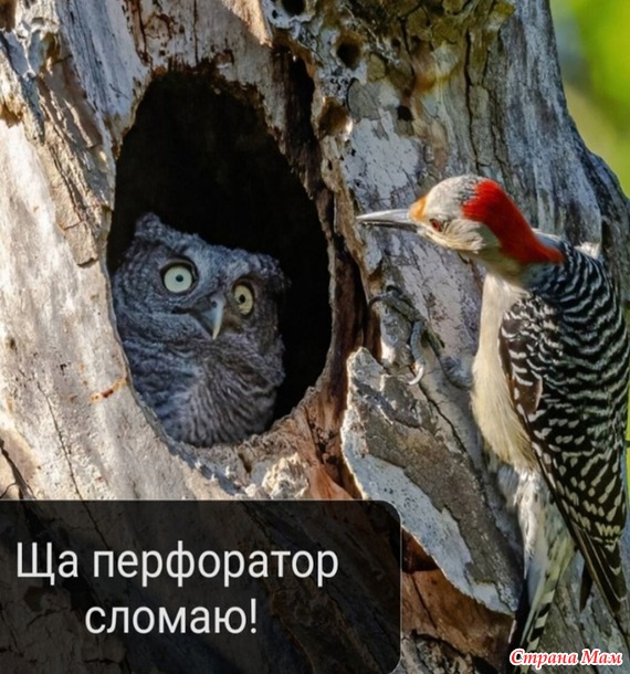 ,   ?))