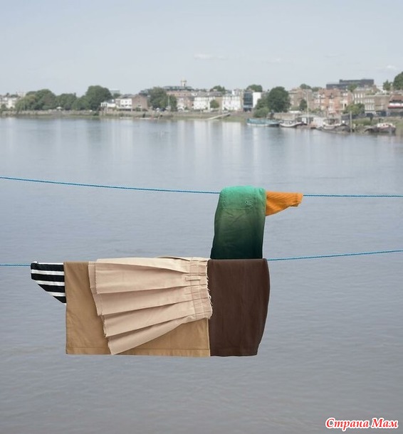        )