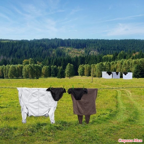        )