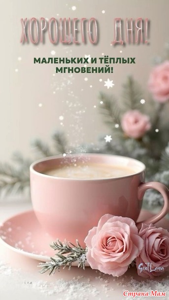 Делимся процессами. Декабрь 2024. Отчет 5