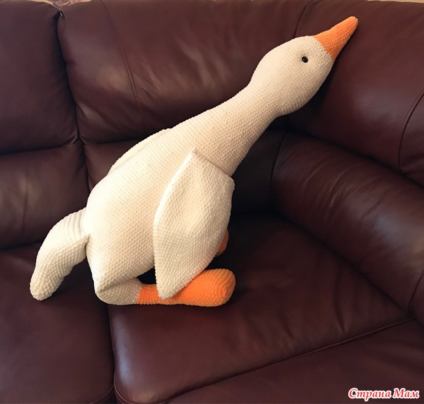   2024 