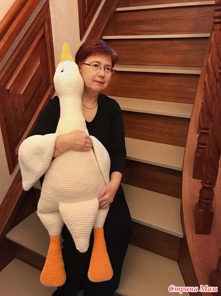   2024 