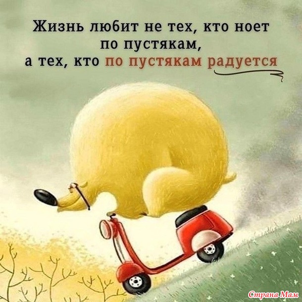  " -  ". -