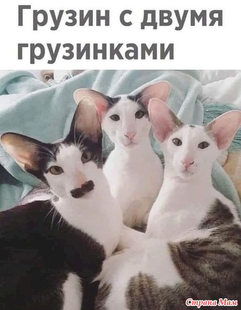 - ,    