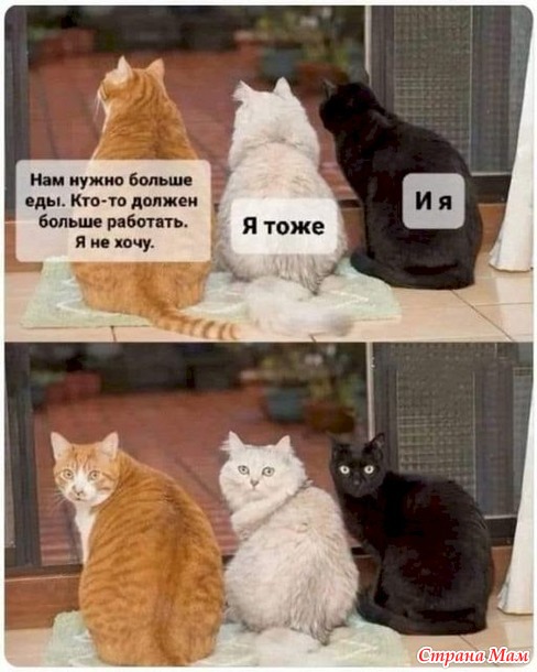 - ,    