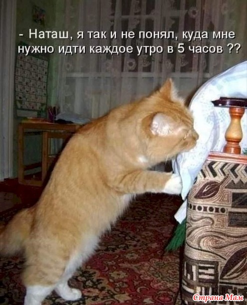- ,    