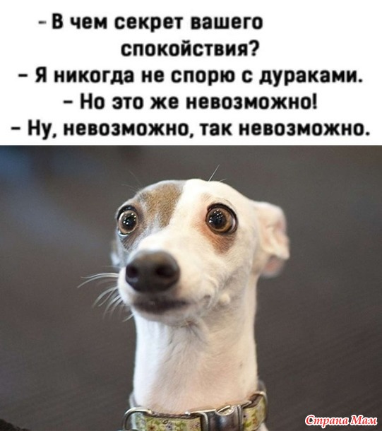 ,  ...)))