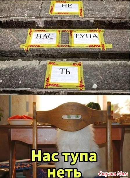   ))