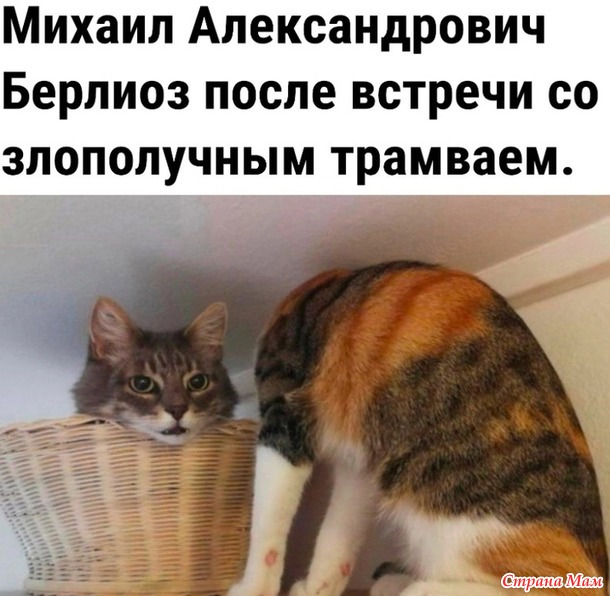  ))
