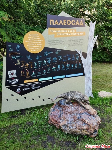 17 июля