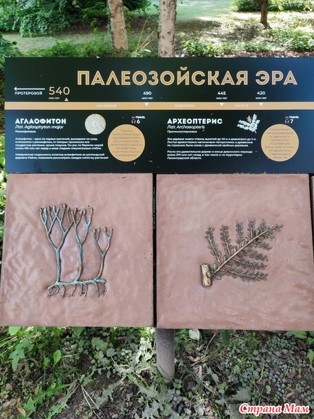 17 июля