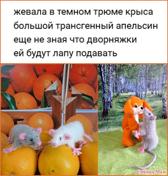 Крыски и компания.
