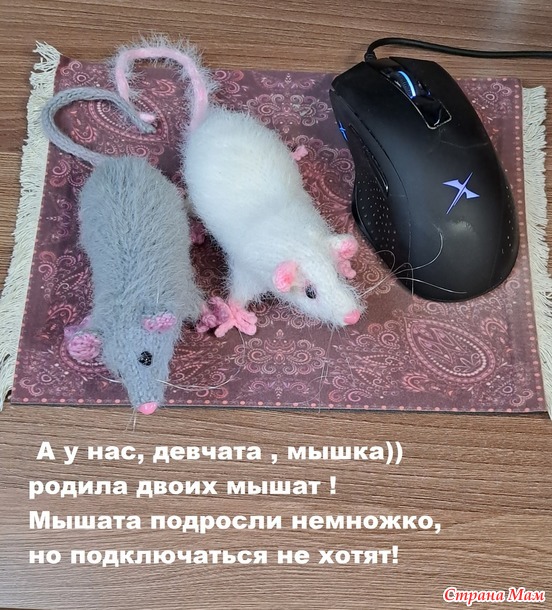 Крыски и компания.