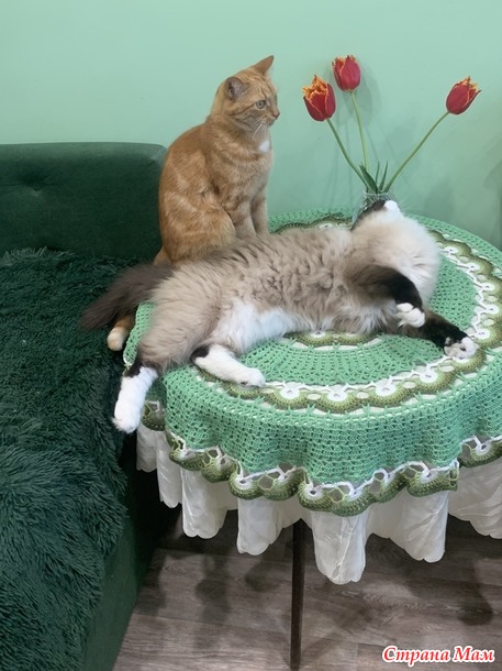 Пять ловцов и одна скатерть
