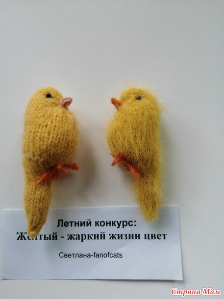 Канарейки на конкурс: "Жёлтый - жаркий жизни цвет"
