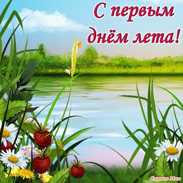 Посиделки на лавочке. Июнь.