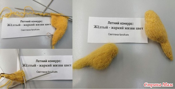 Канарейки на конкурс: "Жёлтый - жаркий жизни цвет"