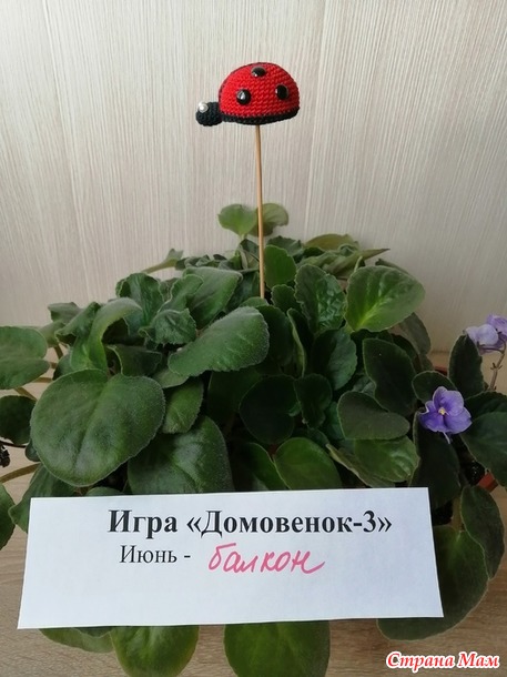 Домовёнок-3. Июнь. Втыкалочки на палочке