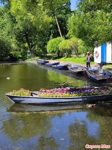 13 июня