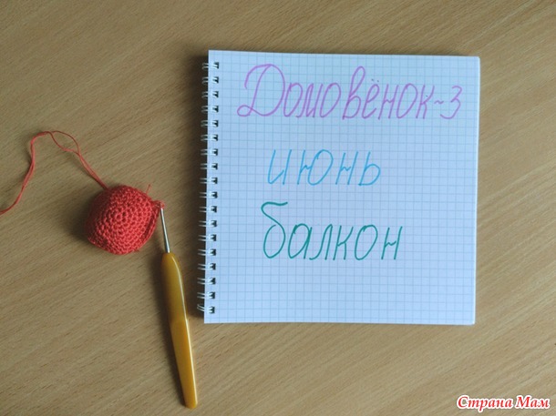 Домовёнок-3. Июнь. Букашки-втыкашки (и не только букашки).