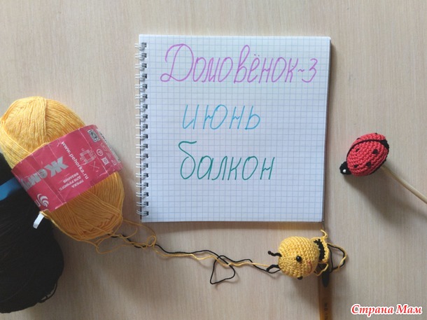 Домовёнок-3. Июнь. Букашки-втыкашки (и не только букашки).