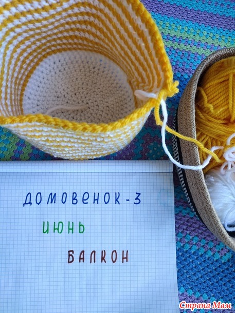 Домовёнок-3. Июнь. Кашпо на лоджию.