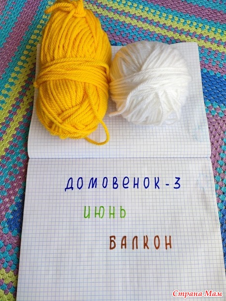 Домовёнок-3. Июнь. Кашпо на лоджию.
