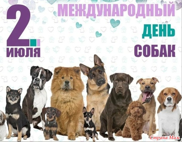 Игра "Домовёнок-3". Июль. Спальня/ Собачки