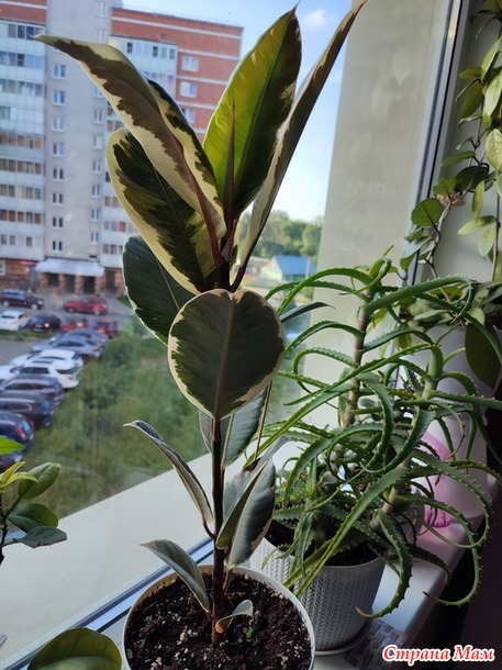 30 