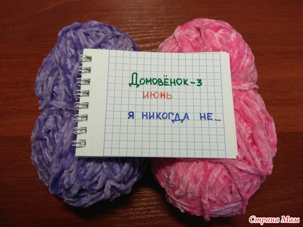 Домовенок - 3. Июнь. "Я никогда не". Подставки под кружку.