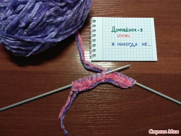 Домовенок - 3. Июнь. "Я никогда не". Подставки под кружку.