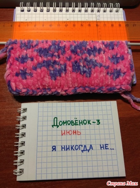 Домовенок - 3. Июнь. "Я никогда не". Подставки под кружку.